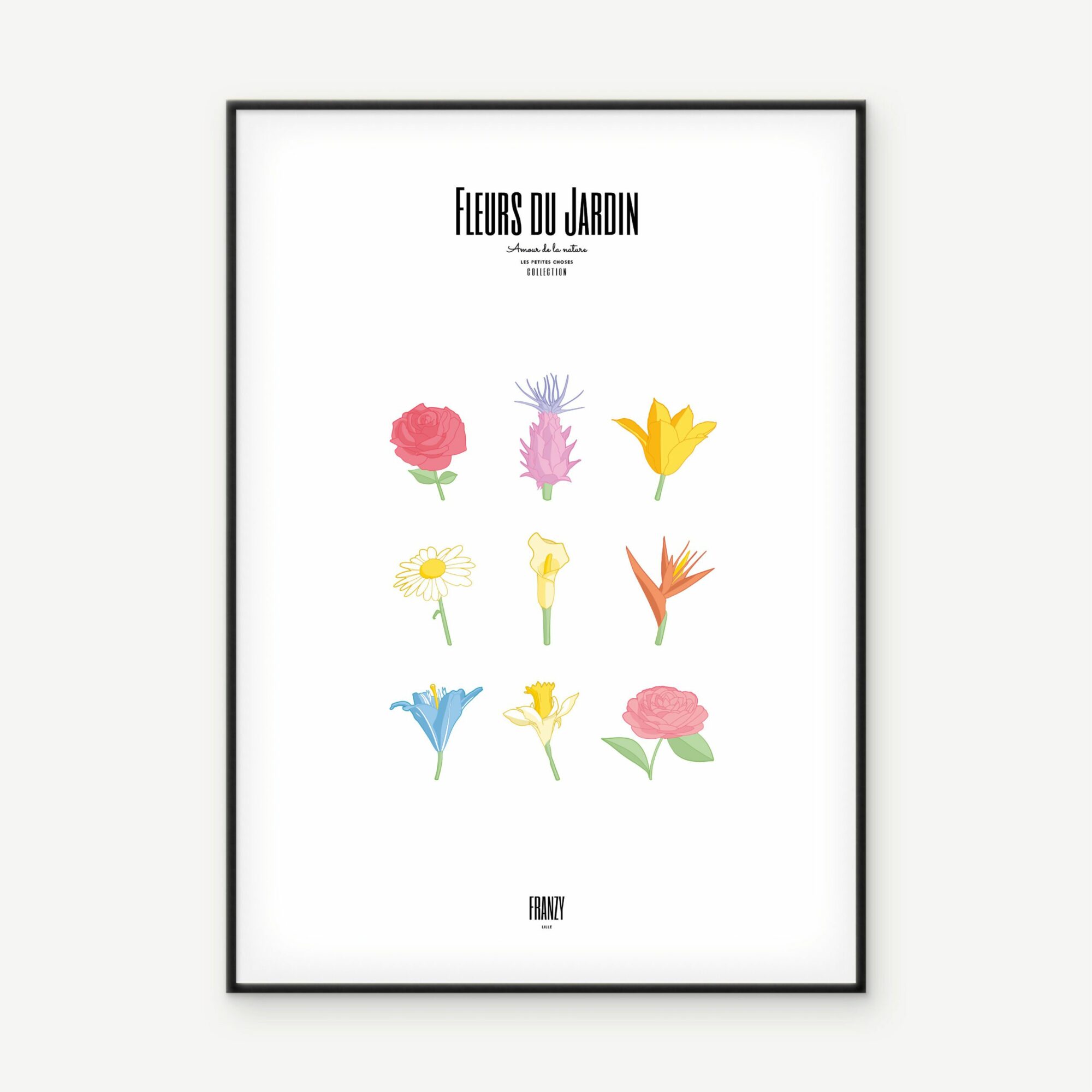 Illustration Color - Fleurs du Jardin